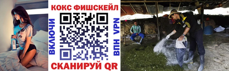 Как найти наркотики Александровск COCAIN  Галлюциногенные грибы  МЕФ  Альфа ПВП 