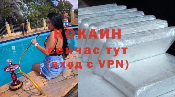 дживик Абинск